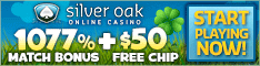 SOAK St. Paddy Banner 234x60  2.28.14